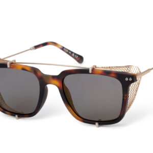 Alpine sunglasses